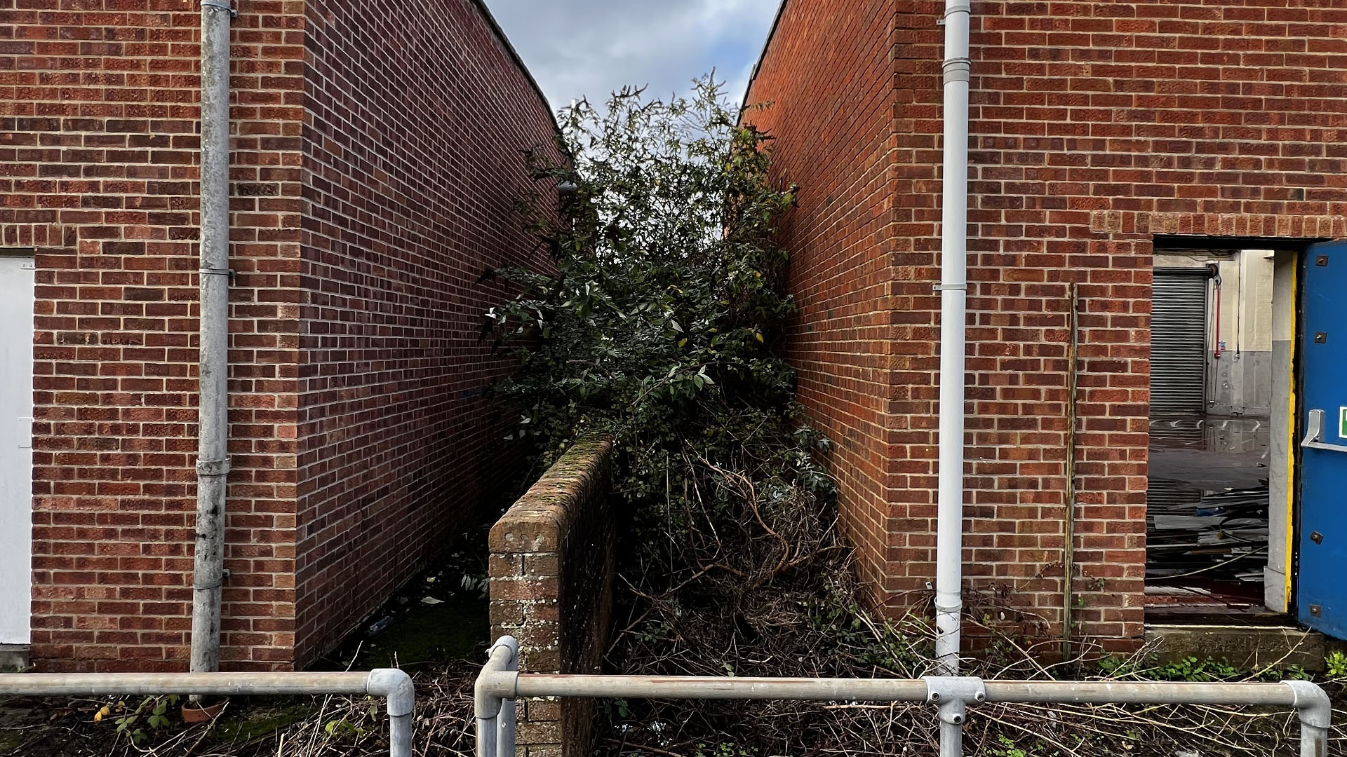 Who Should You Contact First — The Council, a Surveyor, or Your Neighbour Poole?